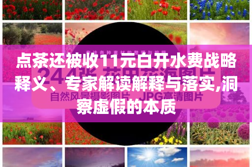 點(diǎn)茶還被收11元白開(kāi)水費(fèi)戰(zhàn)略釋義、專家解讀解釋與落實(shí),洞察虛假的本質(zhì)
