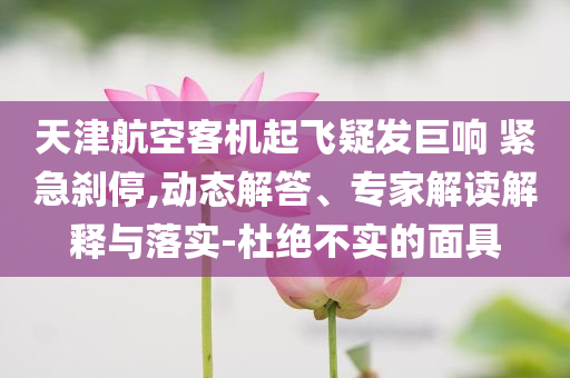 天津航空客機起飛疑發(fā)巨響 緊急剎停,動態(tài)解答、專家解讀解釋與落實-杜絕不實的面具