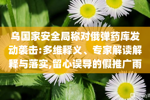 烏國家安全局稱對俄彈藥庫發(fā)動襲擊:多維釋義、專家解讀解釋與落實(shí),留心誤導(dǎo)的假推廣雨