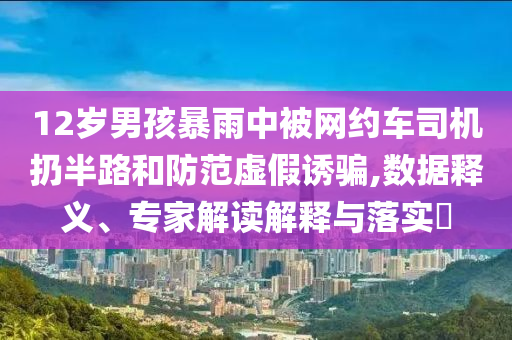 12歲男孩暴雨中被網(wǎng)約車司機(jī)扔半路和防范虛假誘騙,數(shù)據(jù)釋義、專家解讀解釋與落實(shí)?
