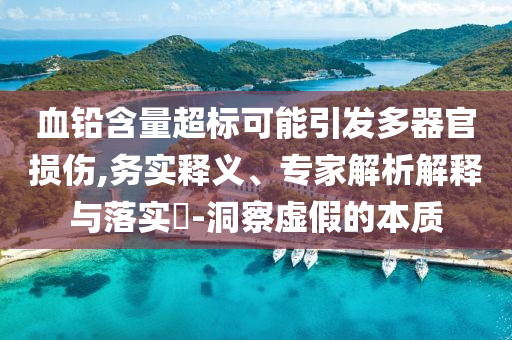 血鉛含量超標(biāo)可能引發(fā)多器官損傷,務(wù)實(shí)釋義、專(zhuān)家解析解釋與落實(shí)?-洞察虛假的本質(zhì)