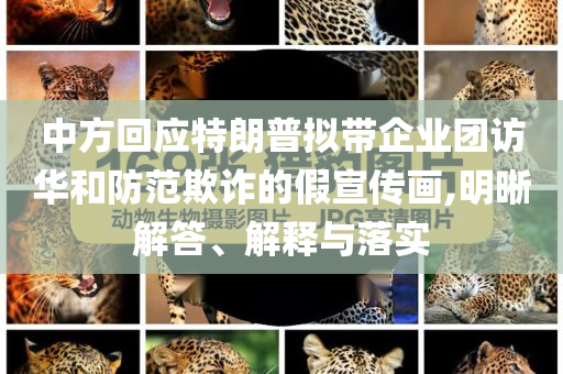 中方回應(yīng)特朗普擬帶企業(yè)團訪華和防范欺詐的假宣傳畫,明晰解答、解釋與落實