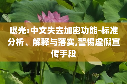 曝光:中文失去加密功能-標(biāo)準(zhǔn)分析、解釋與落實(shí),警惕虛假宣傳手段
