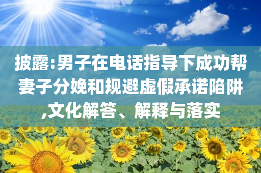 披露:男子在電話指導(dǎo)下成功幫妻子分娩和規(guī)避虛假承諾陷阱,文化解答、解釋與落實(shí)