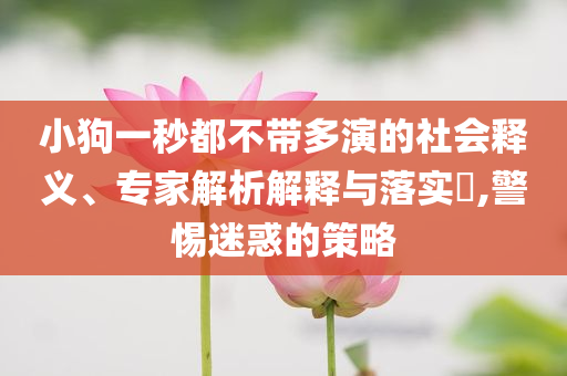 小狗一秒都不帶多演的社會釋義、專家解析解釋與落實(shí)?,警惕迷惑的策略