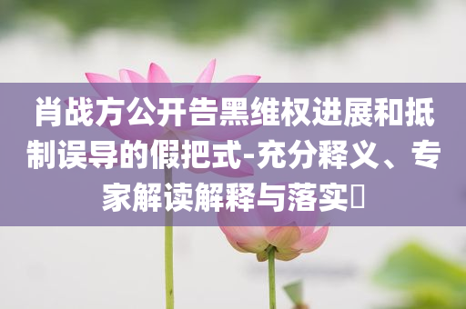 肖戰(zhàn)方公開告黑維權(quán)進(jìn)展和抵制誤導(dǎo)的假把式-充分釋義、專家解讀解釋與落實?