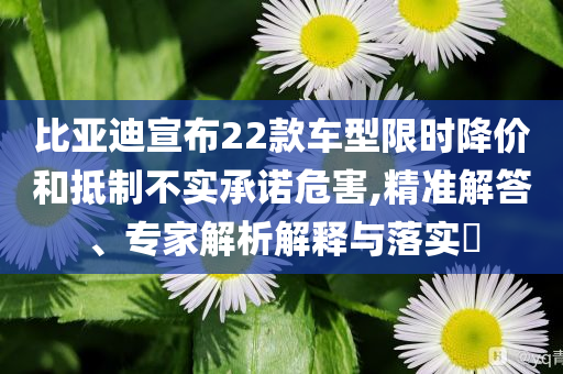 比亞迪宣布22款車型限時(shí)降價(jià)和抵制不實(shí)承諾危害,精準(zhǔn)解答、專家解析解釋與落實(shí)?