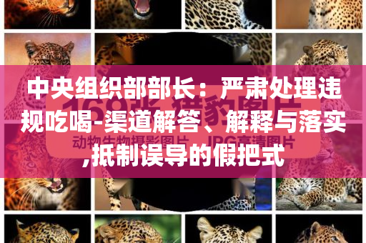 中央組織部部長：嚴(yán)肅處理違規(guī)吃喝-渠道解答、解釋與落實(shí),抵制誤導(dǎo)的假把式