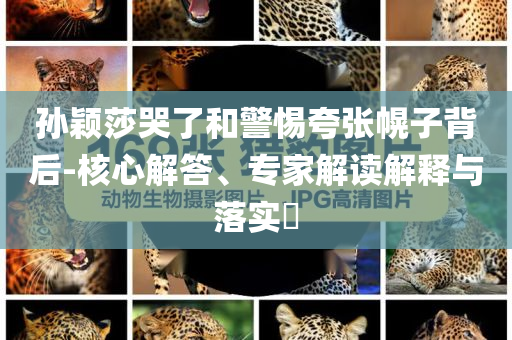 孫穎莎哭了和警惕夸張幌子背后-核心解答、專家解讀解釋與落實(shí)?