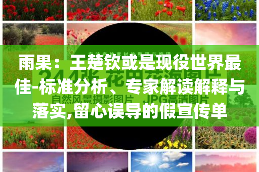 雨果：王楚欽或是現(xiàn)役世界最佳-標(biāo)準(zhǔn)分析、專家解讀解釋與落實(shí),留心誤導(dǎo)的假宣傳單