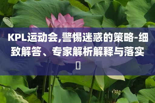 KPL運(yùn)動會,警惕迷惑的策略-細(xì)致解答、專家解析解釋與落實(shí)?