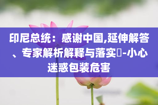 印尼總統(tǒng)：感謝中國,延伸解答、專家解析解釋與落實(shí)?-小心迷惑包裝危害