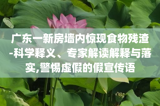 廣東一新房墻內(nèi)驚現(xiàn)食物殘?jiān)?科學(xué)釋義、專家解讀解釋與落實(shí),警惕虛假的假宣傳語(yǔ)