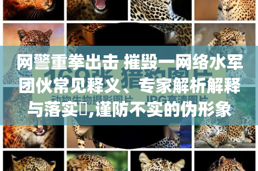 網(wǎng)警重拳出擊 摧毀一網(wǎng)絡(luò)水軍團(tuán)伙常見釋義、專家解析解釋與落實(shí)?,謹(jǐn)防不實(shí)的偽形象