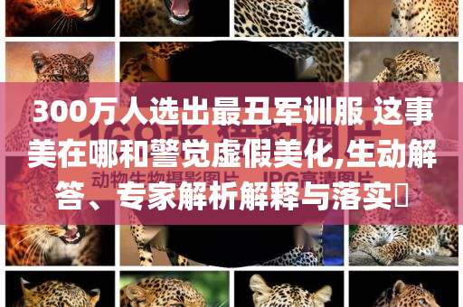 300萬人選出最丑軍訓服 這事美在哪和警覺虛假美化,生動解答、專家解析解釋與落實?