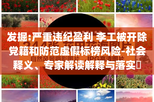 發(fā)掘:嚴重違紀盈利 李工被開除黨籍和防范虛假標榜風險-社會釋義、專家解讀解釋與落實?