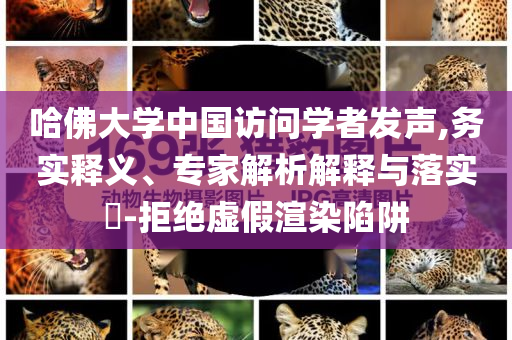 哈佛大學中國訪問學者發(fā)聲,務(wù)實釋義、專家解析解釋與落實?-拒絕虛假渲染陷阱