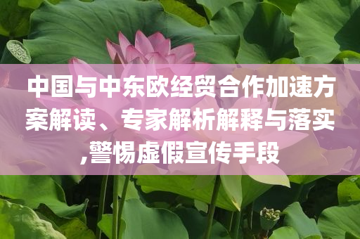 中國(guó)與中東歐經(jīng)貿(mào)合作加速方案解讀、專(zhuān)家解析解釋與落實(shí),警惕虛假宣傳手段