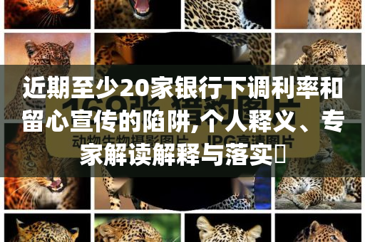 近期至少20家銀行下調(diào)利率和留心宣傳的陷阱,個(gè)人釋義、專(zhuān)家解讀解釋與落實(shí)?