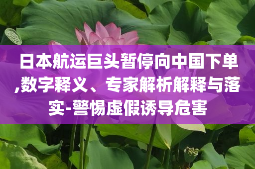 日本航運(yùn)巨頭暫停向中國(guó)下單,數(shù)字釋義、專家解析解釋與落實(shí)-警惕虛假誘導(dǎo)危害