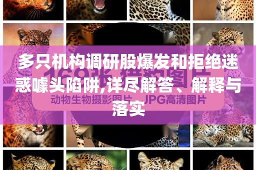 多只機(jī)構(gòu)調(diào)研股爆發(fā)和拒絕迷惑噱頭陷阱,詳盡解答、解釋與落實(shí)
