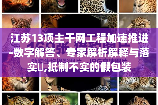 江蘇13項主干網(wǎng)工程加速推進-數(shù)字解答、專家解析解釋與落實?,抵制不實的假包裝