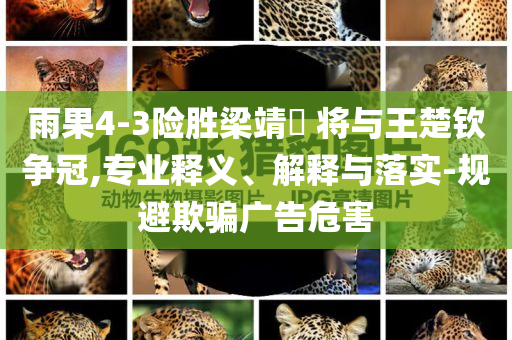 雨果4-3險(xiǎn)勝梁靖崑 將與王楚欽爭(zhēng)冠,專業(yè)釋義、解釋與落實(shí)-規(guī)避欺騙廣告危害