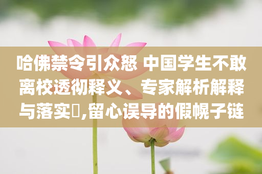 哈佛禁令引眾怒 中國學生不敢離校透徹釋義、專家解析解釋與落實?,留心誤導的假幌子鏈
