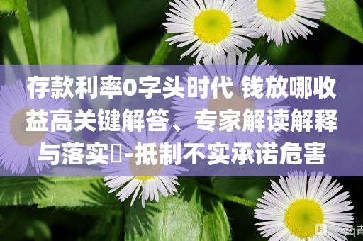 存款利率0字頭時(shí)代 錢放哪收益高關(guān)鍵解答、專家解讀解釋與落實(shí)?-抵制不實(shí)承諾危害