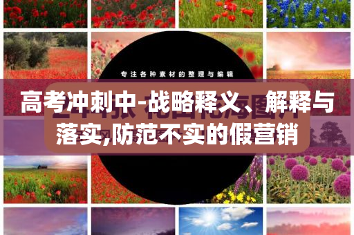 高考沖刺中-戰(zhàn)略釋義、解釋與落實,防范不實的假營銷