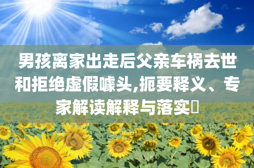 男孩離家出走后父親車禍去世和拒絕虛假噱頭,扼要釋義、專家解讀解釋與落實?