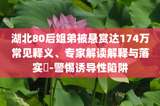 湖北80后姐弟被懸賞達(dá)174萬常見釋義、專家解讀解釋與落實(shí)?-警惕誘導(dǎo)性陷阱
