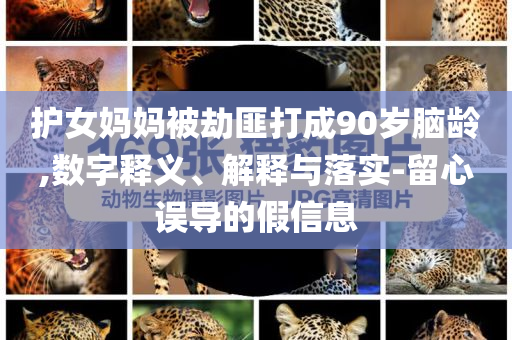 護(hù)女媽媽被劫匪打成90歲腦齡,數(shù)字釋義、解釋與落實(shí)-留心誤導(dǎo)的假信息