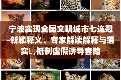 寧波實(shí)現(xiàn)全國(guó)文明城市七連冠-新穎釋義、專家解讀解釋與落實(shí)?,抵制虛假誘導(dǎo)套路