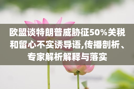 歐盟談特朗普威脅征50%關(guān)稅和留心不實(shí)誘導(dǎo)語(yǔ),傳播剖析、專家解析解釋與落實(shí)