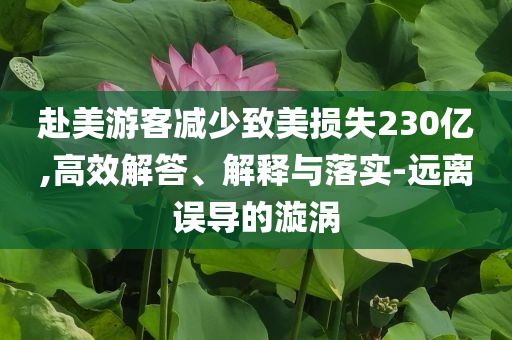 赴美游客減少致美損失230億,高效解答、解釋與落實(shí)-遠(yuǎn)離誤導(dǎo)的漩渦