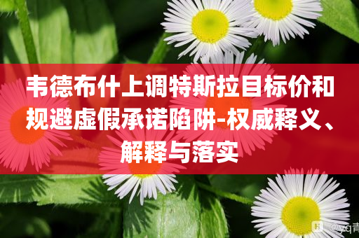 韋德布什上調(diào)特斯拉目標價和規(guī)避虛假承諾陷阱-權威釋義、解釋與落實