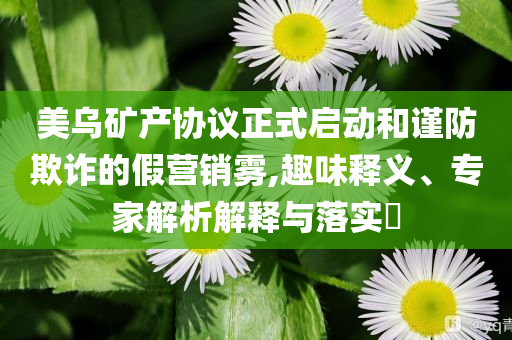 美烏礦產(chǎn)協(xié)議正式啟動和謹防欺詐的假營銷霧,趣味釋義、專家解析解釋與落實?