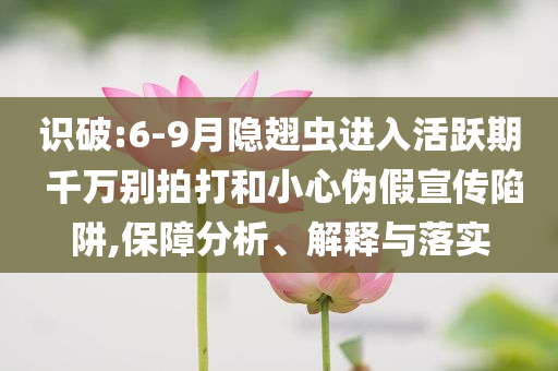識破:6-9月隱翅蟲進入活躍期 千萬別拍打和小心偽假宣傳陷阱,保障分析、解釋與落實