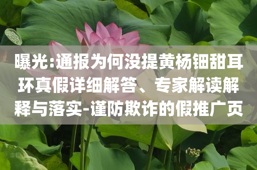 曝光:通報(bào)為何沒(méi)提黃楊鈿甜耳環(huán)真假詳細(xì)解答、專(zhuān)家解讀解釋與落實(shí)-謹(jǐn)防欺詐的假推廣頁(yè)