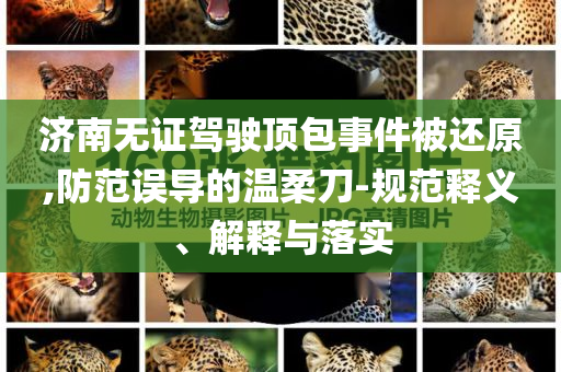 濟(jì)南無證駕駛頂包事件被還原,防范誤導(dǎo)的溫柔刀-規(guī)范釋義、解釋與落實(shí)