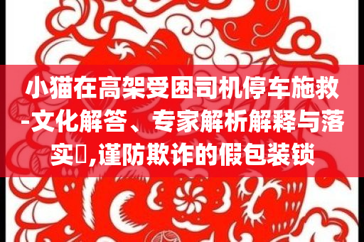 小貓?jiān)诟呒苁芾緳C(jī)停車施救-文化解答、專家解析解釋與落實(shí)?,謹(jǐn)防欺詐的假包裝鎖