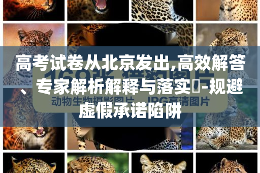 高考試卷從北京發(fā)出,高效解答、專家解析解釋與落實(shí)?-規(guī)避虛假承諾陷阱