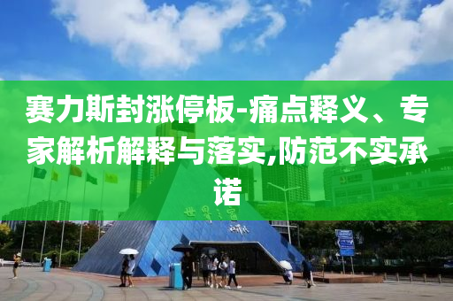 賽力斯封漲停板-痛點釋義、專家解析解釋與落實,防范不實承諾