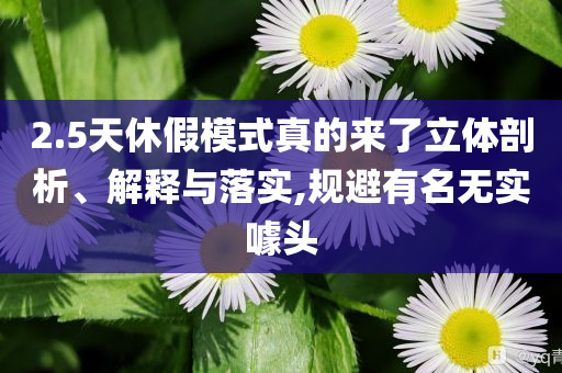 2.5天休假模式真的來(lái)了立體剖析、解釋與落實(shí),規(guī)避有名無(wú)實(shí)噱頭