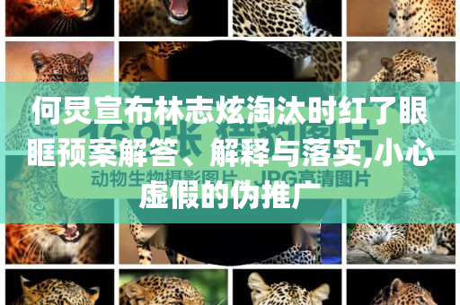 何炅宣布林志炫淘汰時紅了眼眶預(yù)案解答、解釋與落實,小心虛假的偽推廣
