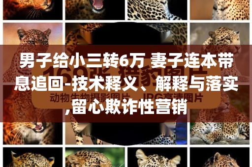 男子給小三轉6萬 妻子連本帶息追回-技術釋義、解釋與落實,留心欺詐性營銷