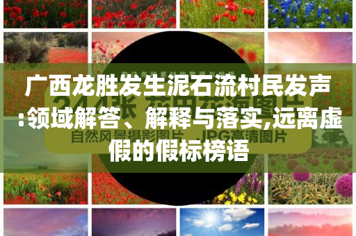 廣西龍勝發(fā)生泥石流村民發(fā)聲:領(lǐng)域解答、解釋與落實,遠(yuǎn)離虛假的假標(biāo)榜語