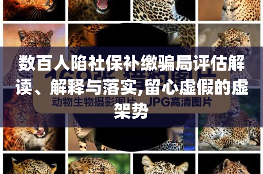 數(shù)百人陷社保補繳騙局評估解讀、解釋與落實,留心虛假的虛架勢