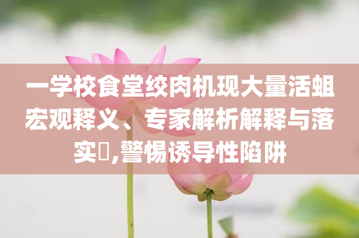 一學(xué)校食堂絞肉機(jī)現(xiàn)大量活蛆宏觀釋義、專家解析解釋與落實(shí)?,警惕誘導(dǎo)性陷阱